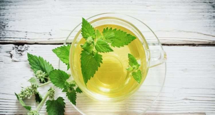 10 Surprising Benefits of Spearmint Tea on Your Health