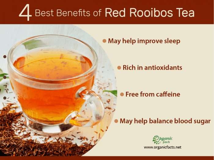 12 Amazing Health Benefits of Red Rooibos Tea