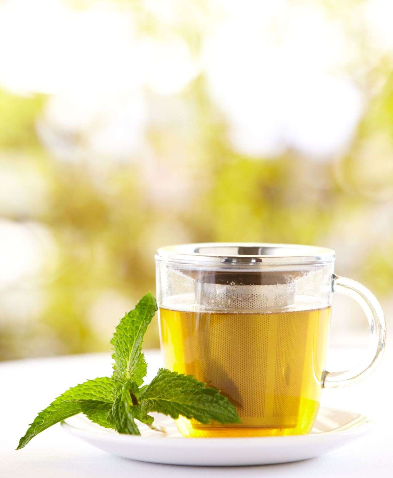 3 Major Myths About Drinking Green Tea Regularly ...