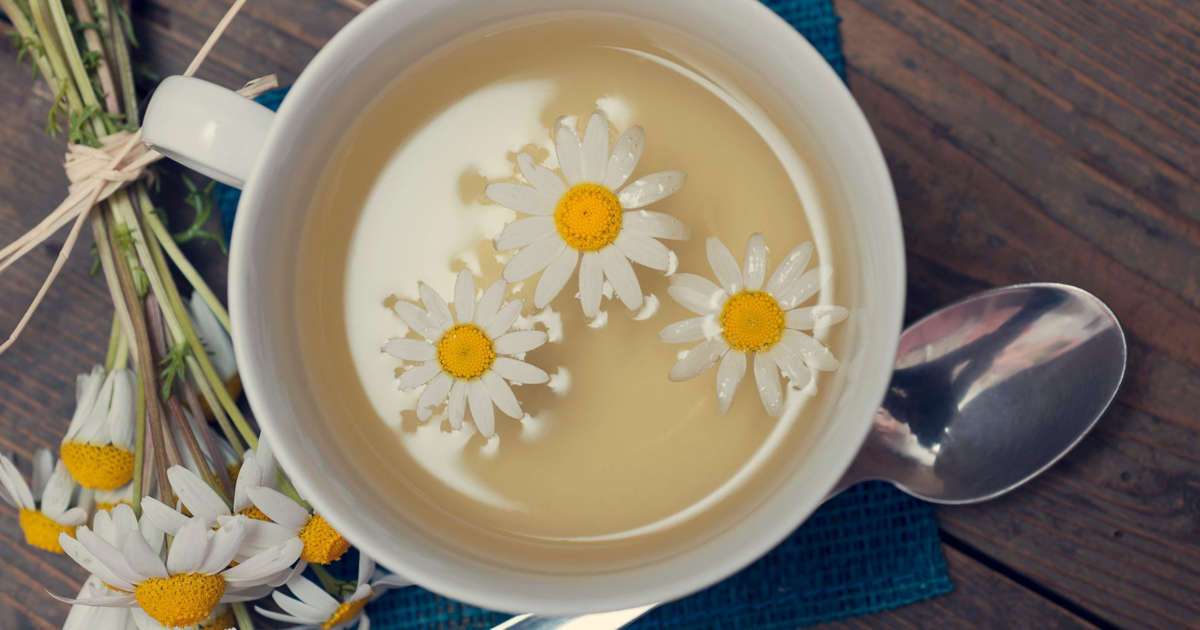 4 health benefits of drinking chamomile tea, including ...