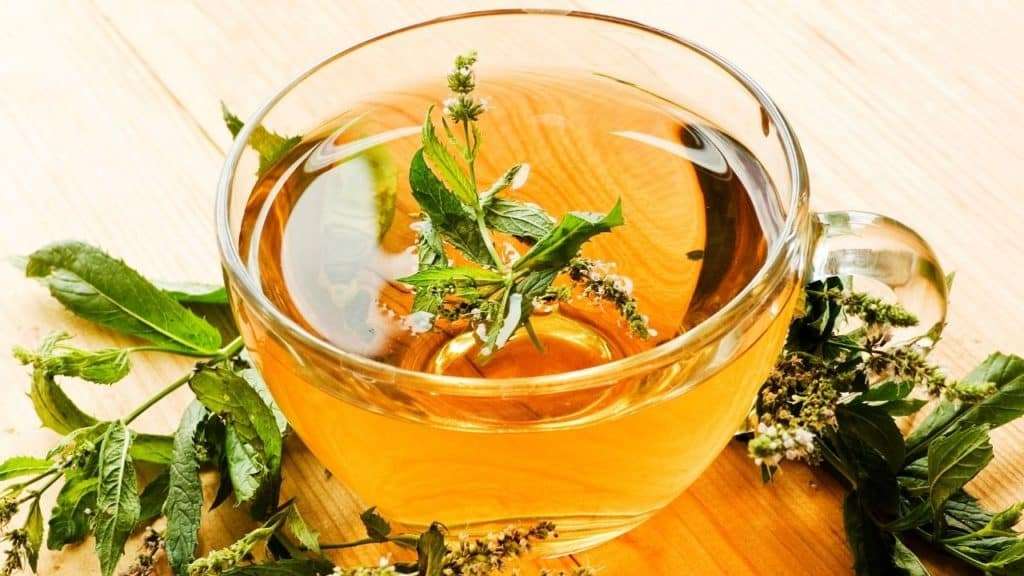 5 Fat Burning Tea You Should Be Drinking For Weight Loss