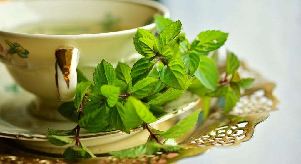 5 Types of Teas That Make You Lose Weight
