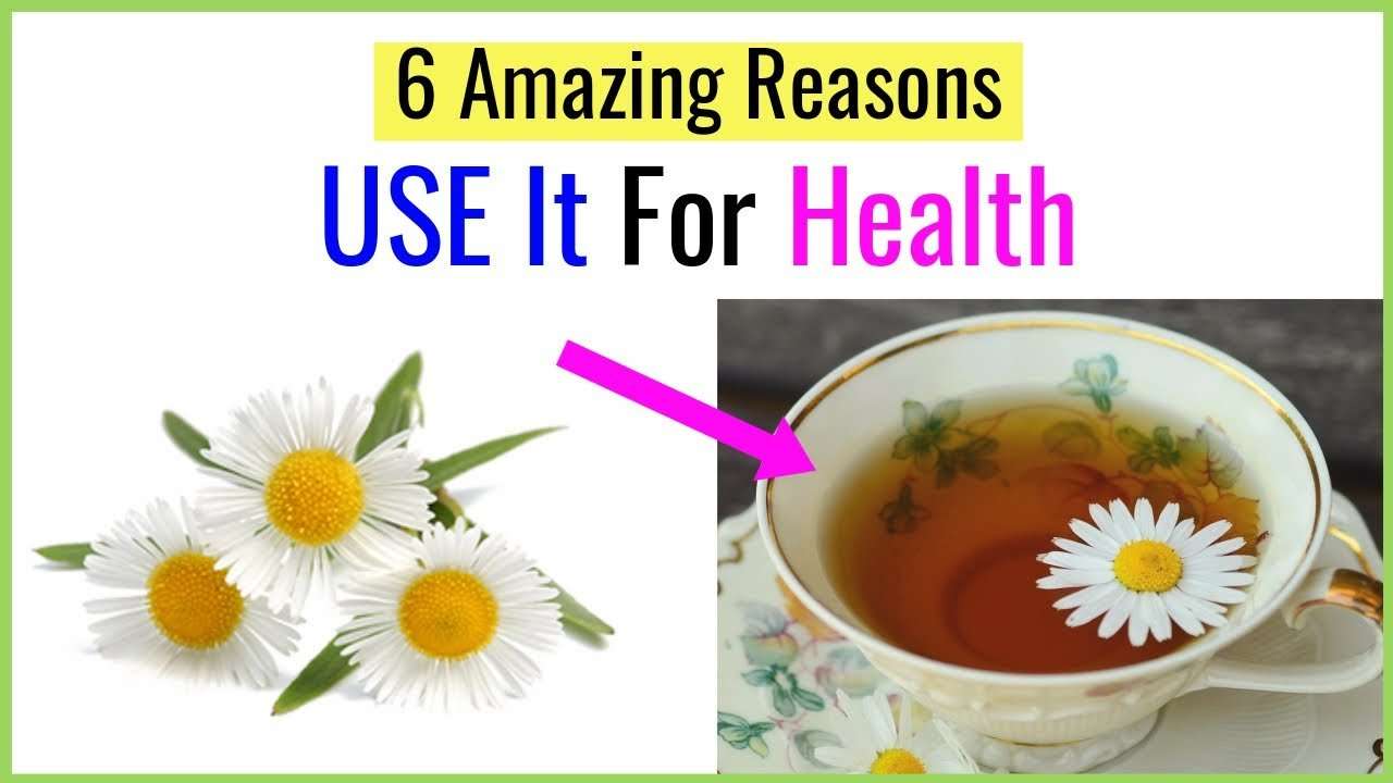 6 Incredible Benefits Of Drinking Chamomile Tea for Health ...