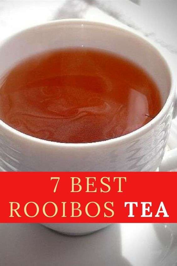 7 Best Rooibos Tea Brands You Can Buy And Their Detailed Reviews in ...