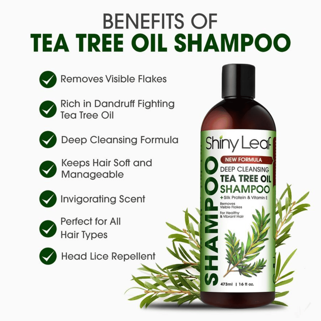 7 Surprising Tea Tree Oil Shampoo Benefits &  Uses (For Skin &  Hair)