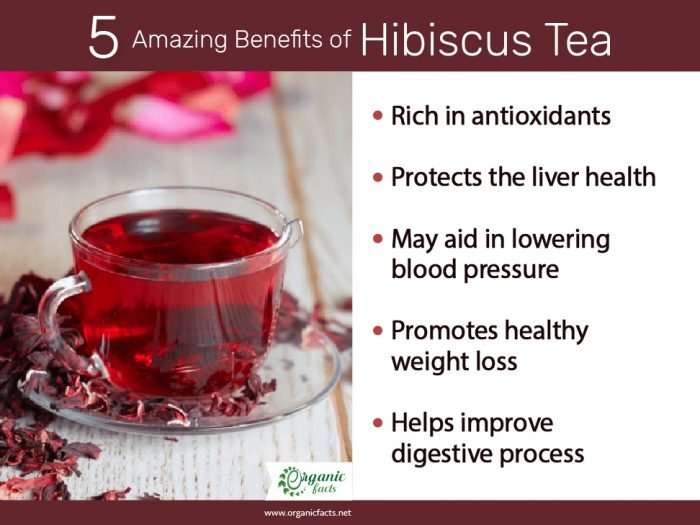 8 Amazing Hibiscus Tea Health Benefits