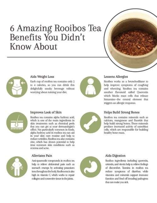 8 Amazing Rooibos Tea Benefits You Didn