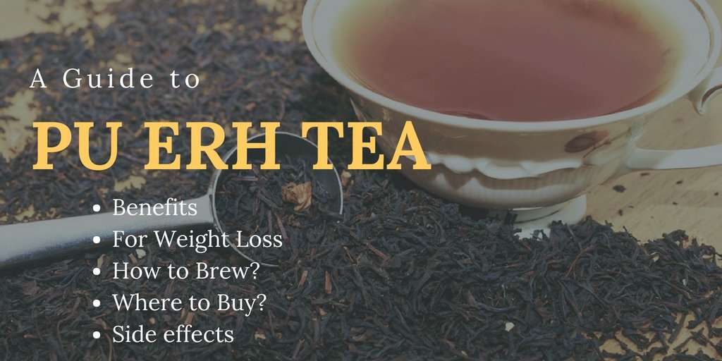 A Guide to Pu Erh Tea (Benefits, Weight loss, Brewing and ...