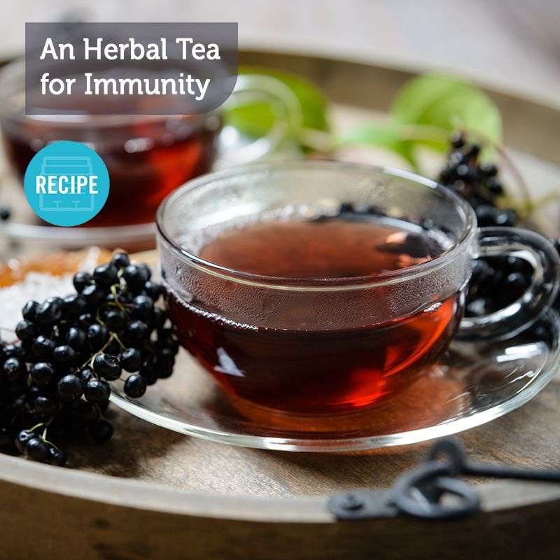 An Herbal Tea for Immunity