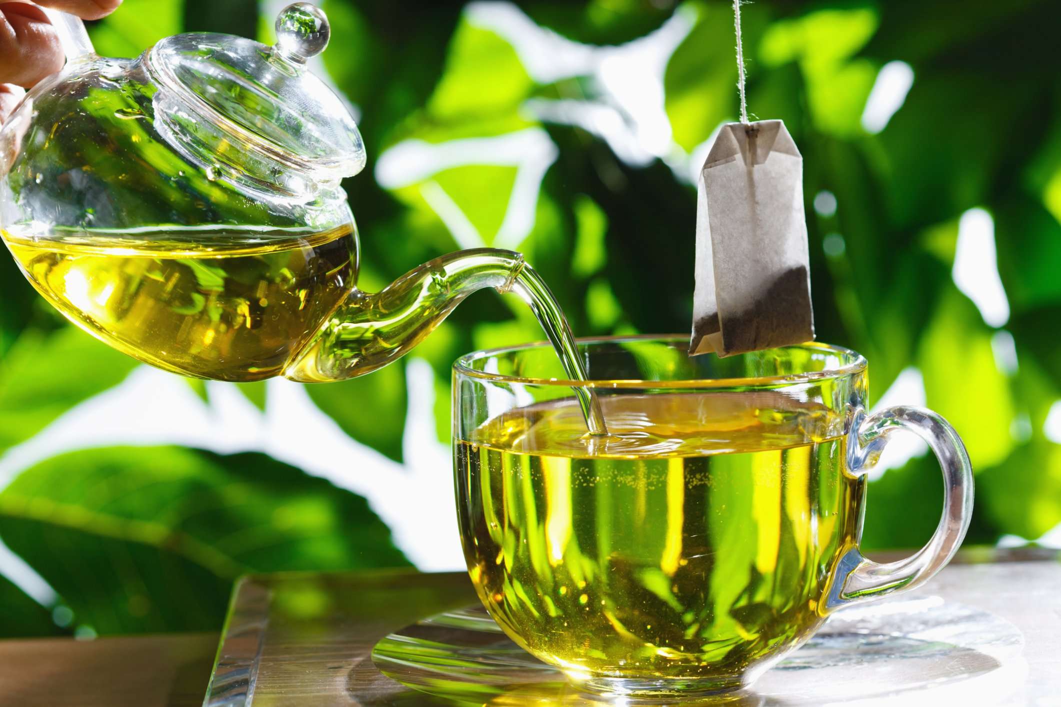 Benefits of Green Tea Regarding the Immune System ...