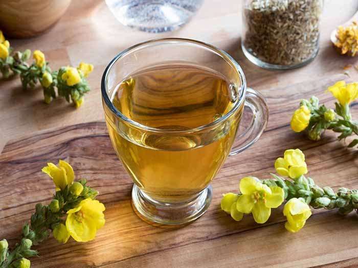 Benefits &  Side Effects of Mullein Tea