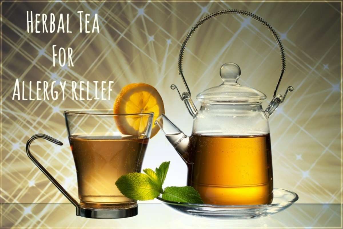 Best Herbal Teas for Allergy Relief