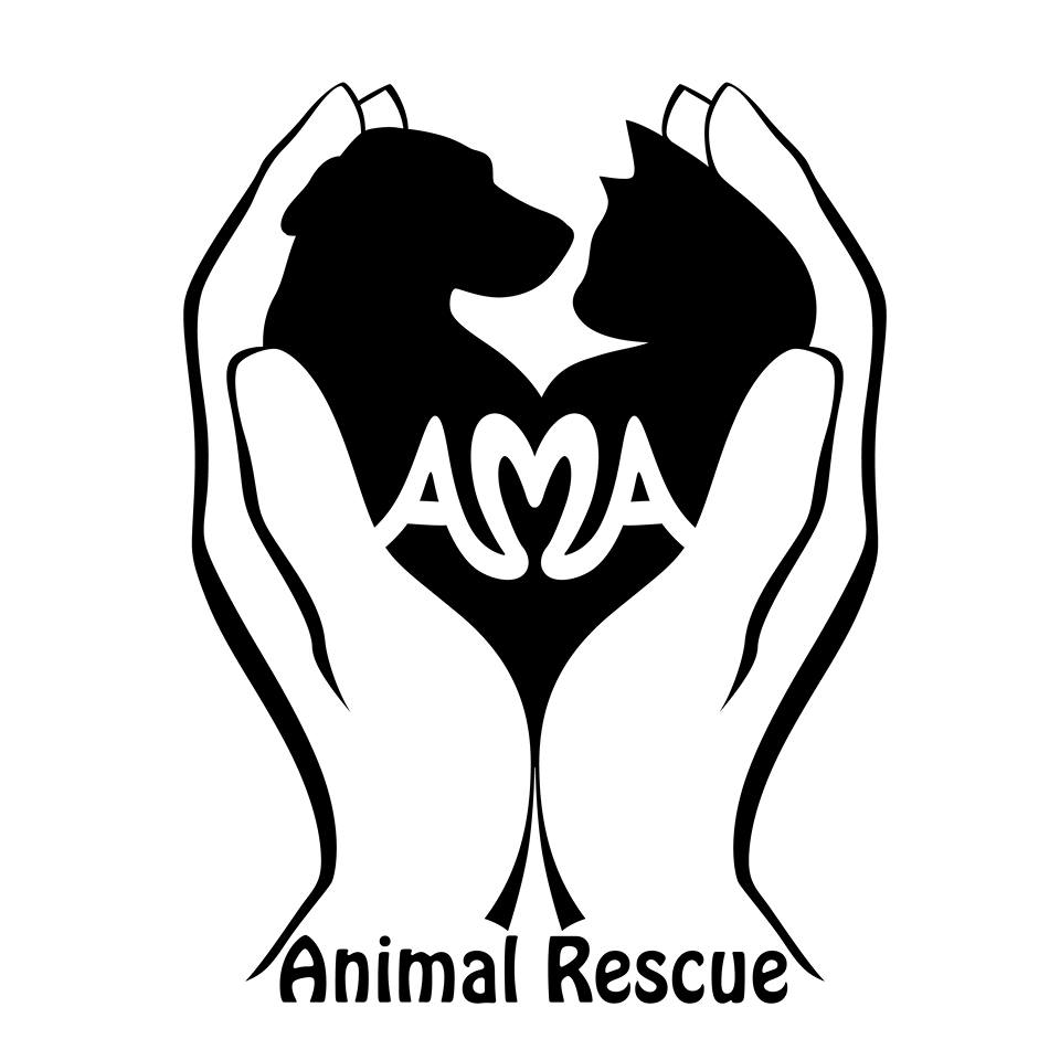 Best Pet Rescue