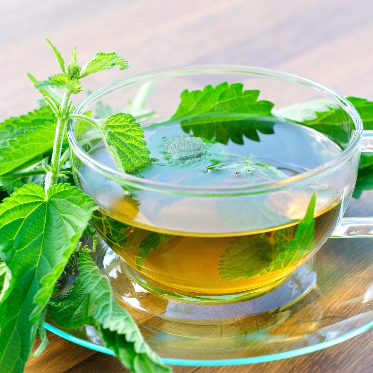 Buy Stinging Nettle Leaf Tea: benefits, How to Make, Side ...