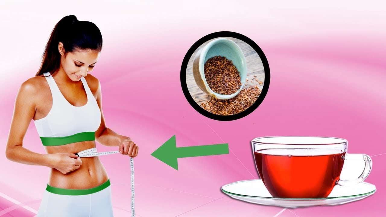 Can Drinking Red Rooibos Tea Really Help You Lose Weight ...