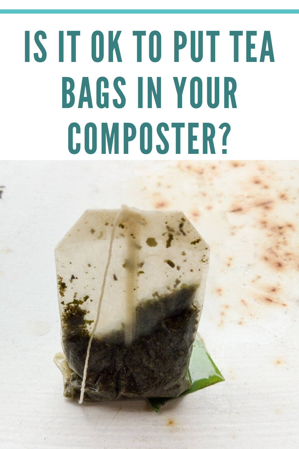 Can you compost tea bags?