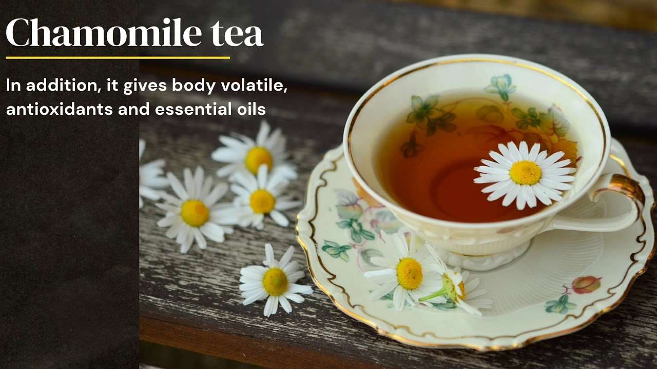 Chamomile tea benefits for migraines