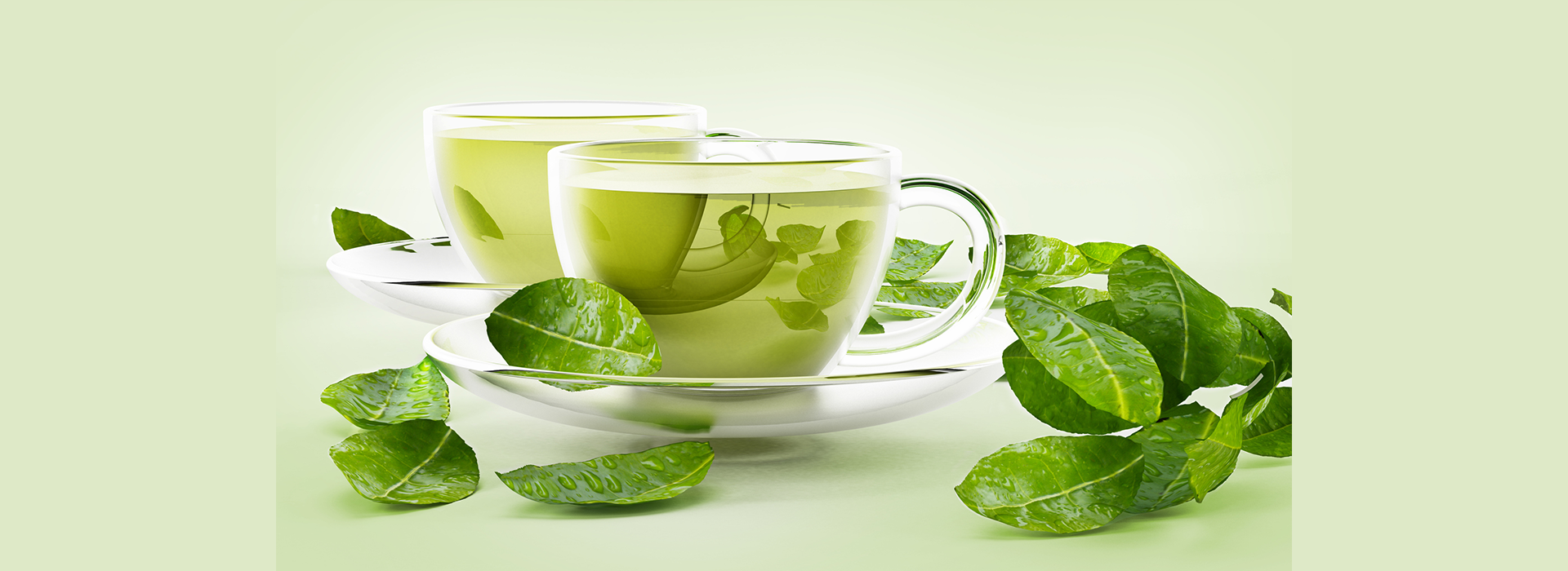 Does Drinking Green Tea Helps In Losing Weight?