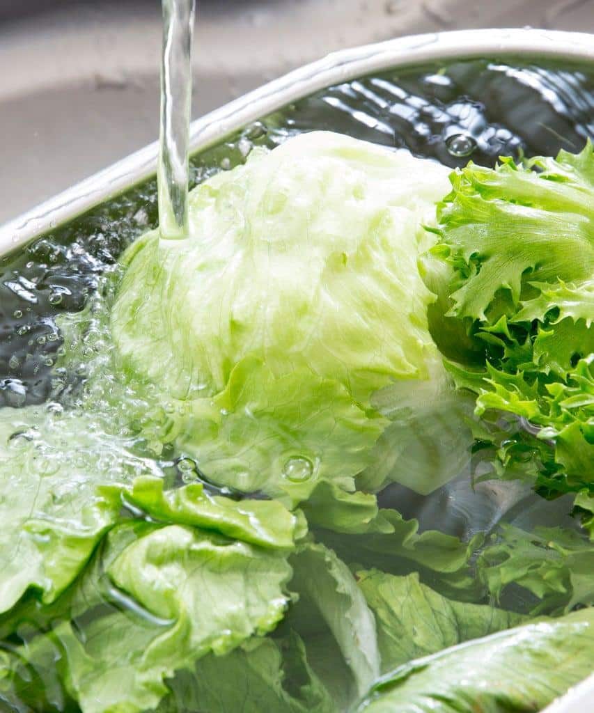 Does TikToks Lettuce Water Hack Really Cure Insomnia?