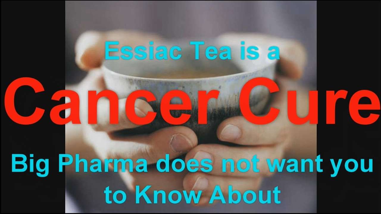 Essiac Tea is a Cancer Cure Big Pharma Does Not Want You to Know About ...