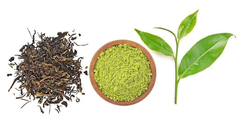 Green Tea Good For You? Weight Loss