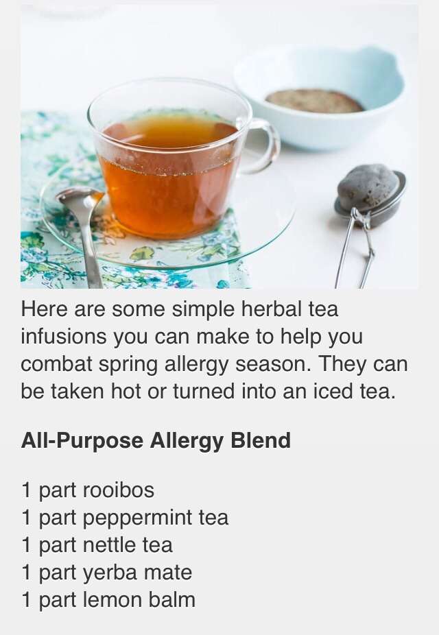 Herbal Tea For Allergiesð?