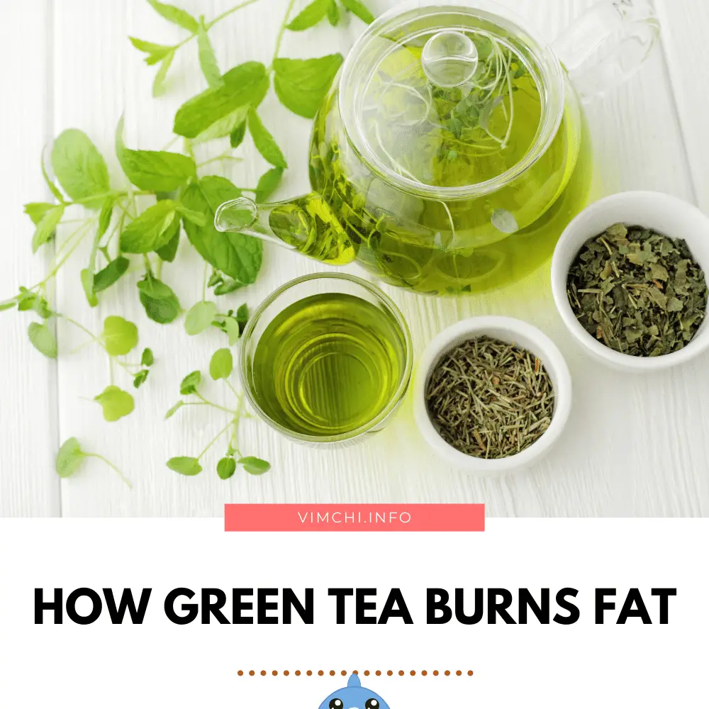 How Does Green Tea Burn Fat?