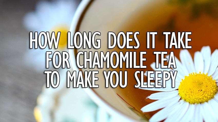 How long does it take for Chamomile Tea to make you sleepy?