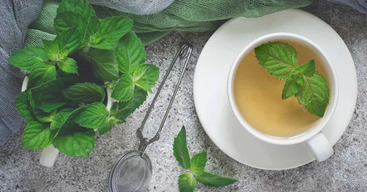 How To Lower Blood Sugar: does mint tea lower blood sugar