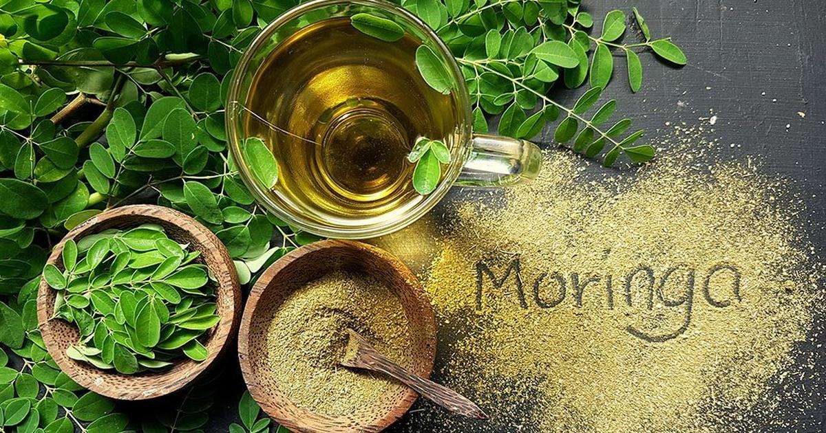 How to make moringa tea [ARTICLE]