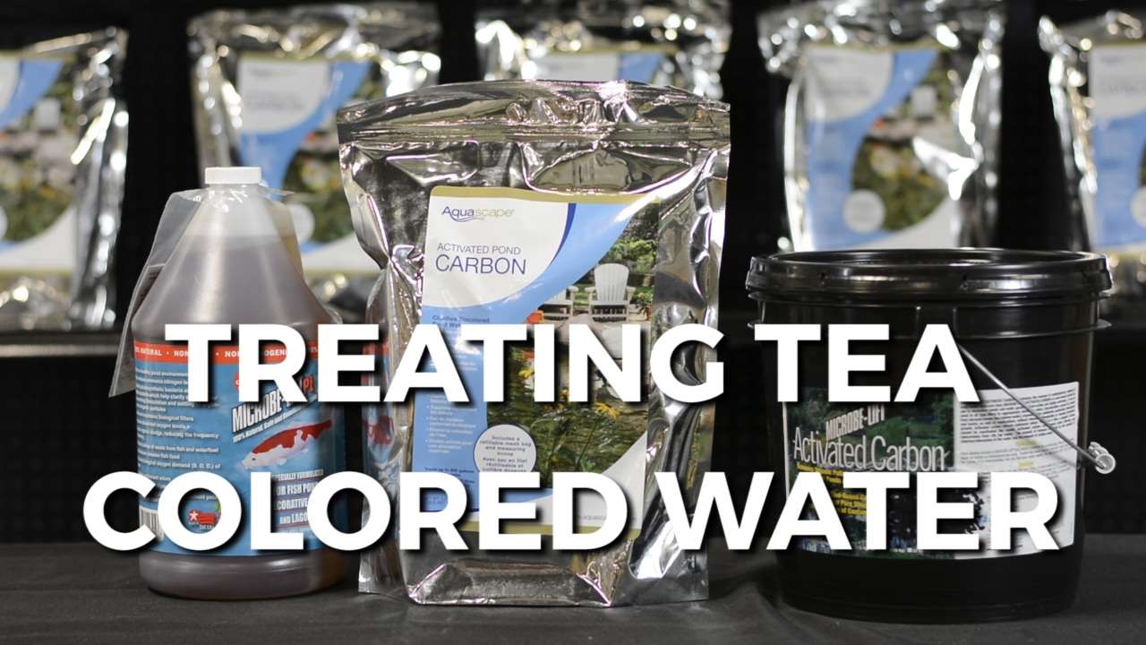 How to Treat TEA COLORED Pond WATER