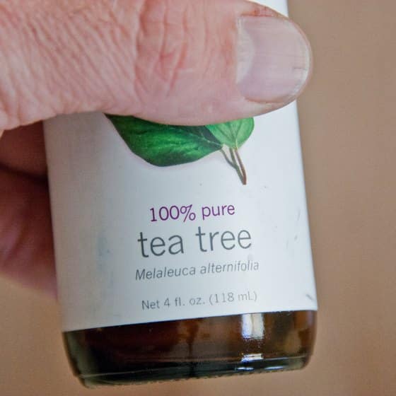 How to Use Tea Tree Oil for Fleas