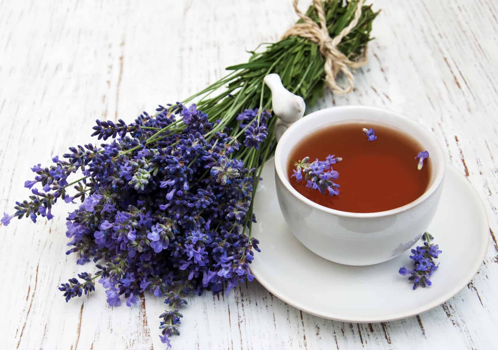 Lavender Tea Benefits that Give Your Health a Lift