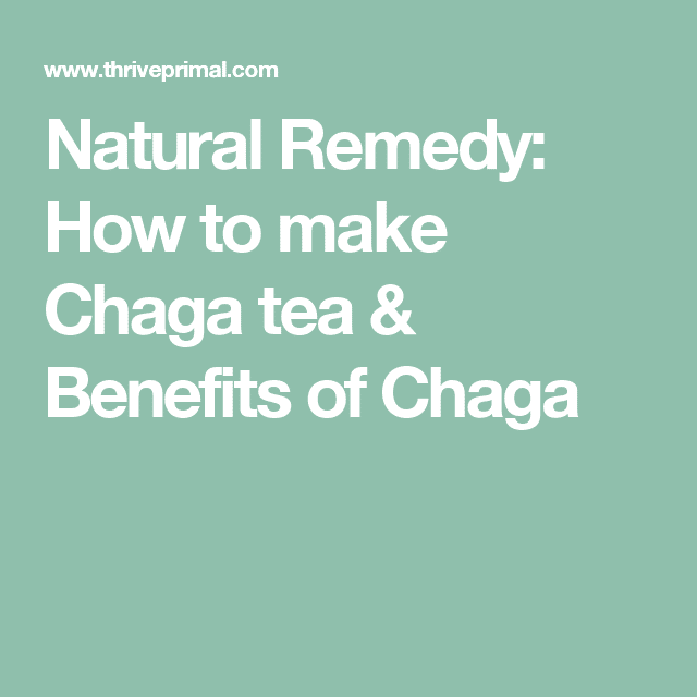 Natural Remedy: How to make Chaga tea &  Benefits of Chaga (With images ...