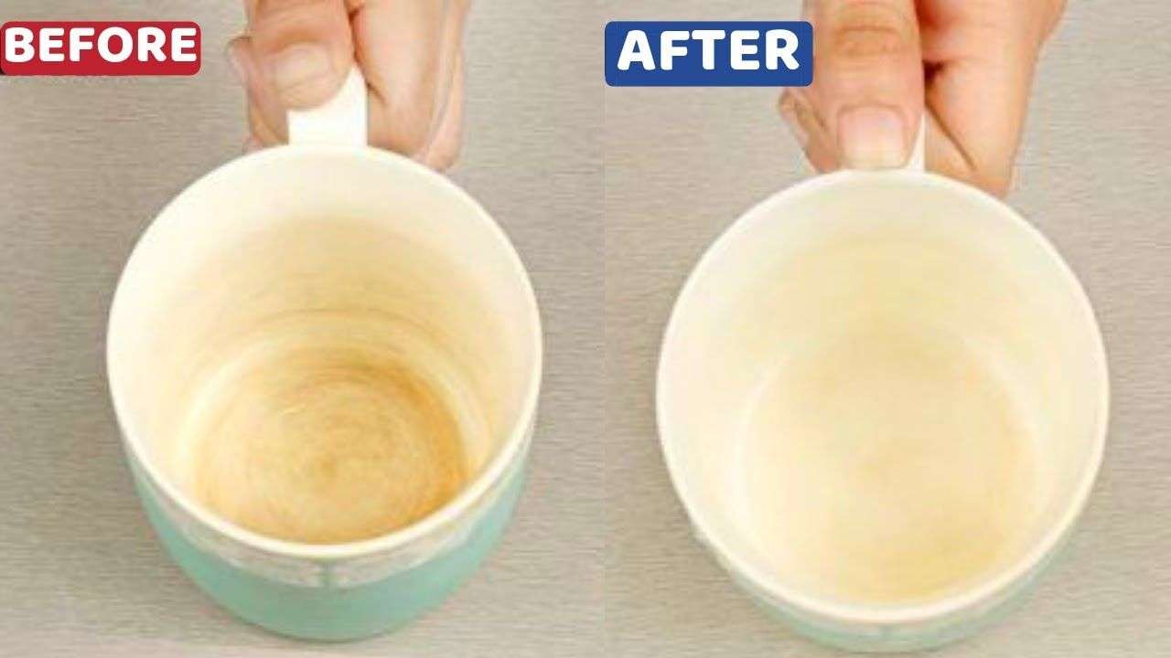 Remove Tea Stains from China Cups in Dishwasher Easily â House Keeper ...