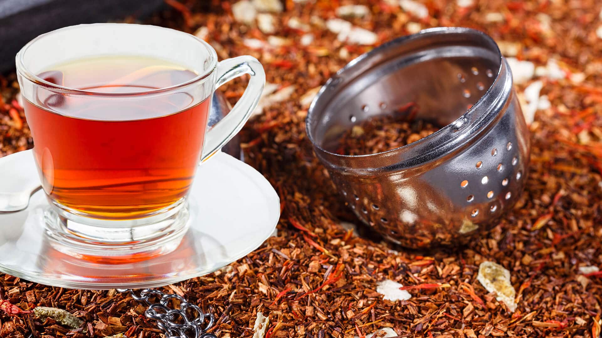 Rooibos Tea How to Use Its Benefits and Side Effects