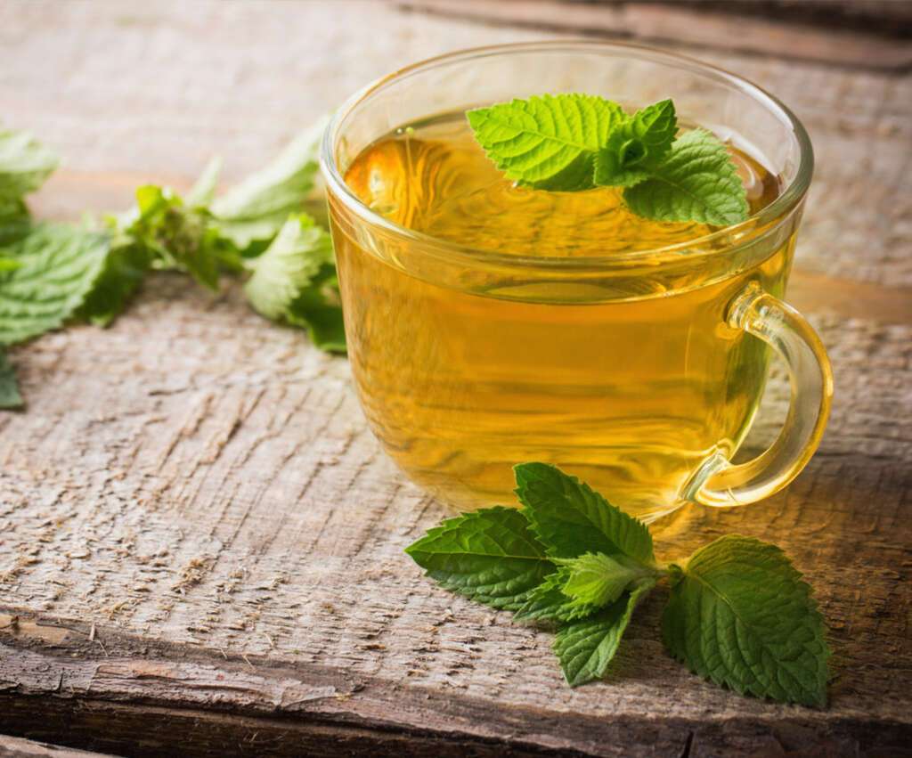Spearmint Tea: 10 Benefits of Spearmint Tea