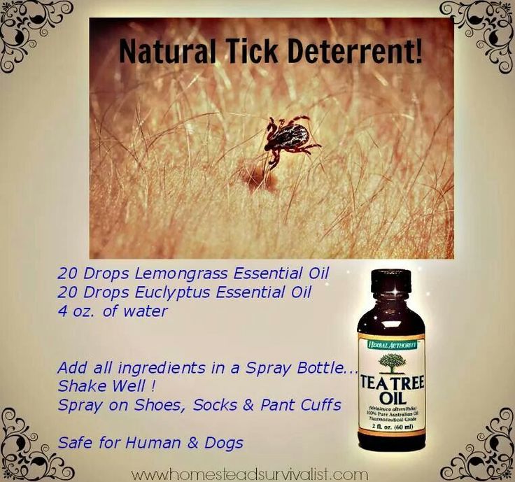 Tea tree oil repells ticks