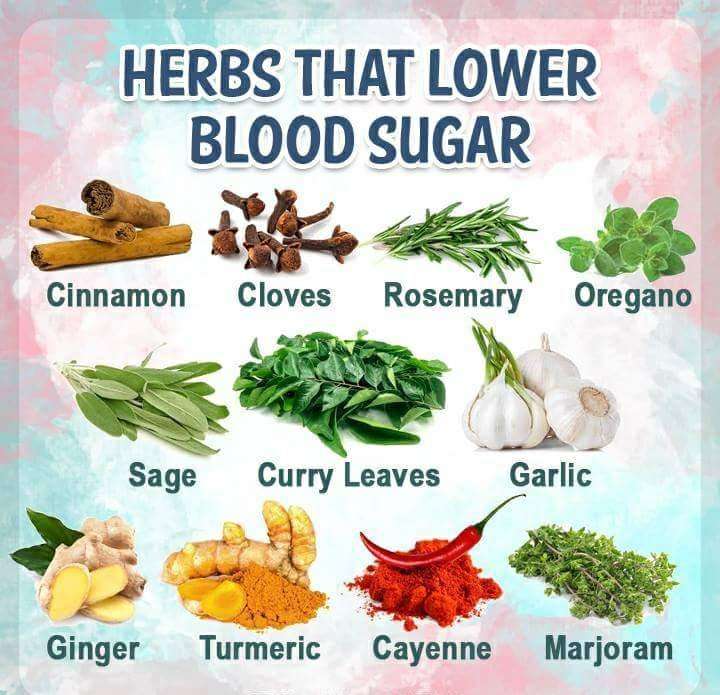 The Top 7 Herbs to lower Your Blood Sugar Naturally  Ask ...