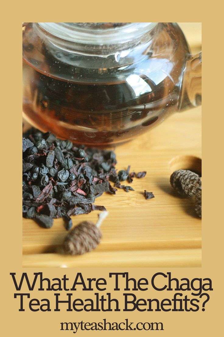 What Are The Chaga Tea Health Benefits?