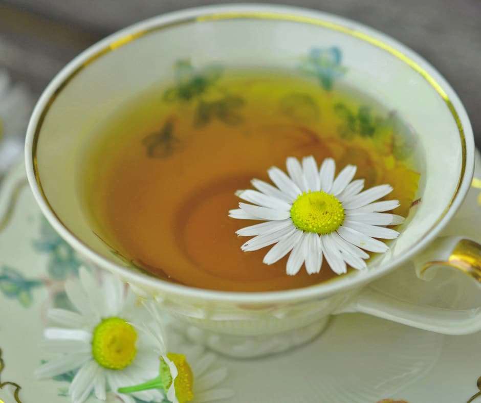 What Does Chamomile Tea Taste Like, Taste Of Chamomile Flower Tea