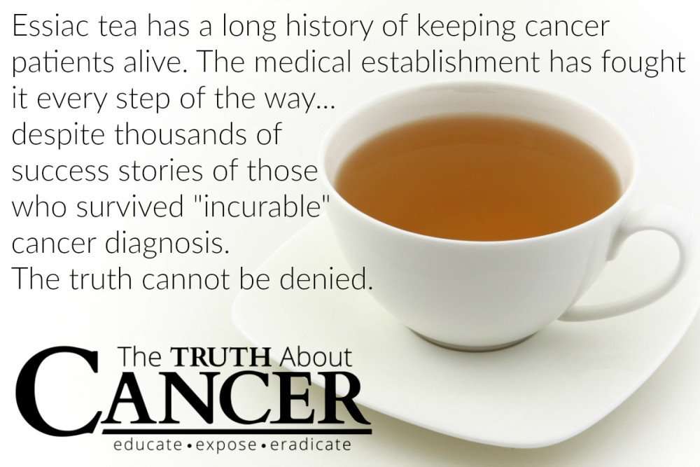 Why Essiac Tea Should be Part of Your Cancer Fighting ...