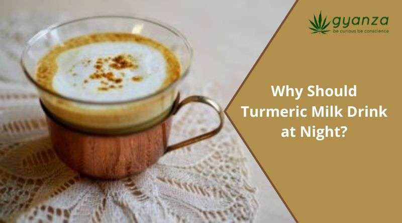 Why Should Turmeric Milk drink at night? Know its ...