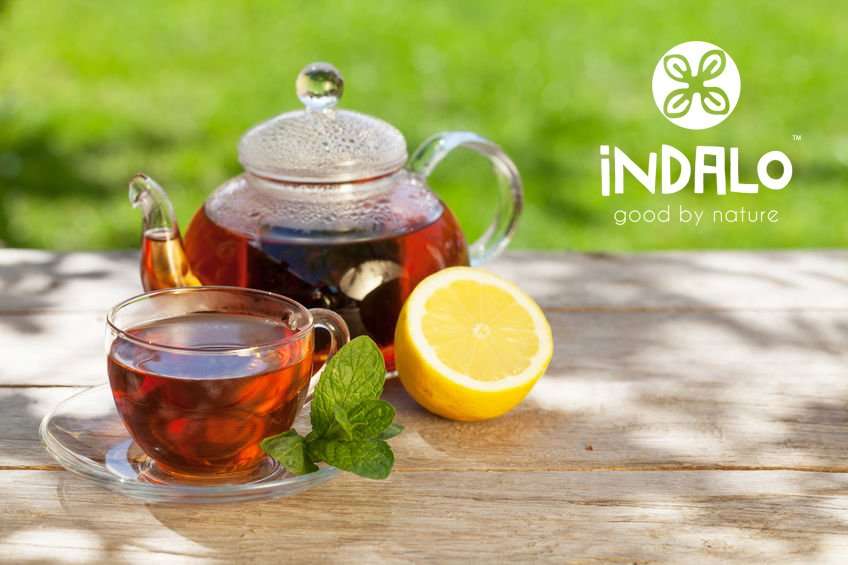 Why You Should Drink Hot Tea in The Summer